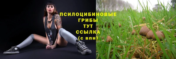метамфетамин Гусев