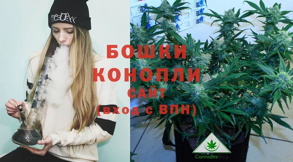 дурь Гусь-Хрустальный