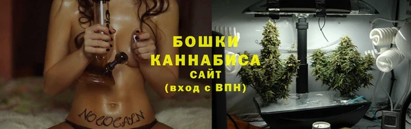 дурь Гусь-Хрустальный