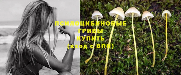 дурь Гусь-Хрустальный