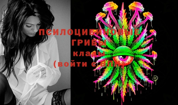 дурь Гусь-Хрустальный