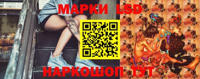 прущие грибы Кулебаки