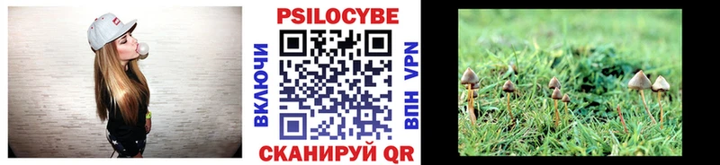 Галлюциногенные грибы Magic Shrooms  omg ССЫЛКА  Ейск 