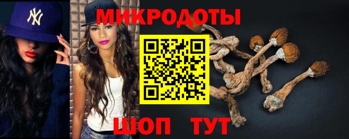 Галлюциногенные грибы Magic Shrooms  Вход с VPN  Псилоцибиновые грибы Psilocybine cubensis  даркнет сайт  Ейск 